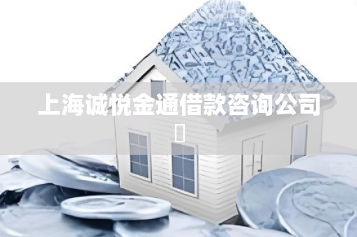 上海诚悦金通借款咨询公司​