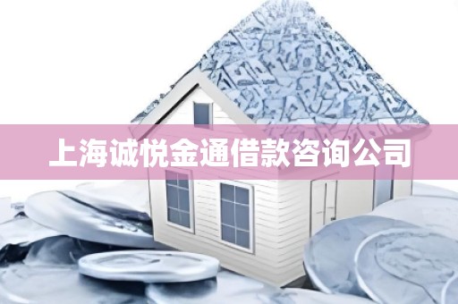 上海诚悦金通借款咨询公司
