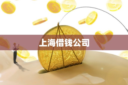 上海借钱公司 上海借钱公司