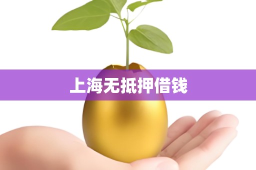 上海无抵押借钱 上海无抵押借钱