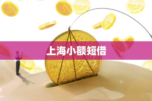 上海小额短借