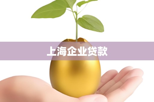 上海企业贷款
