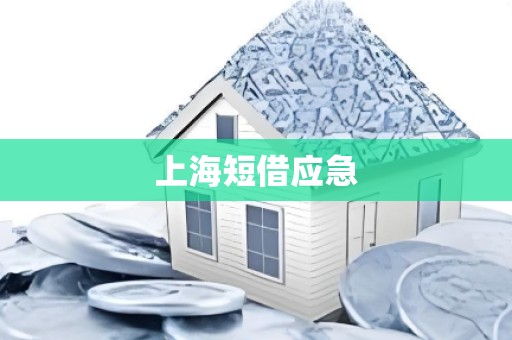 上海短借应急