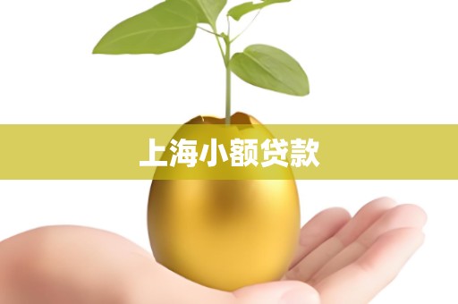 上海小额贷款 上海小额贷款